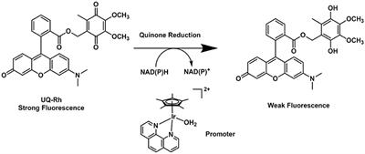 Corrigendum: Oxygen Sensing, Hypoxia Tracing and in Vivo Imaging with Functional Metalloprobes for the Early Detection of Non-communicable Diseases